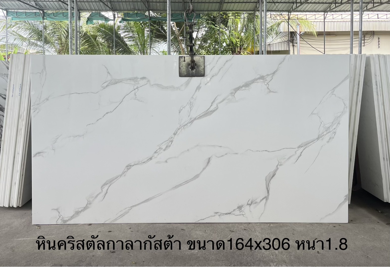 ./ProdImg/cover/หินคริสตัลกาลากัสต้า T.19/20260731085553.jpg
